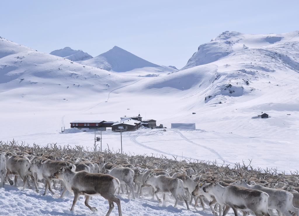 Отель Leirvassbu Fjellstue Boverdalen Экстерьер фото
